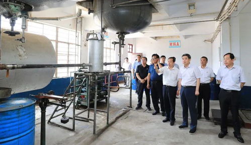 集團(tuán)領(lǐng)導(dǎo)深入實(shí)業(yè)公司調(diào)研，聚焦轉(zhuǎn)型發(fā)展重點(diǎn)